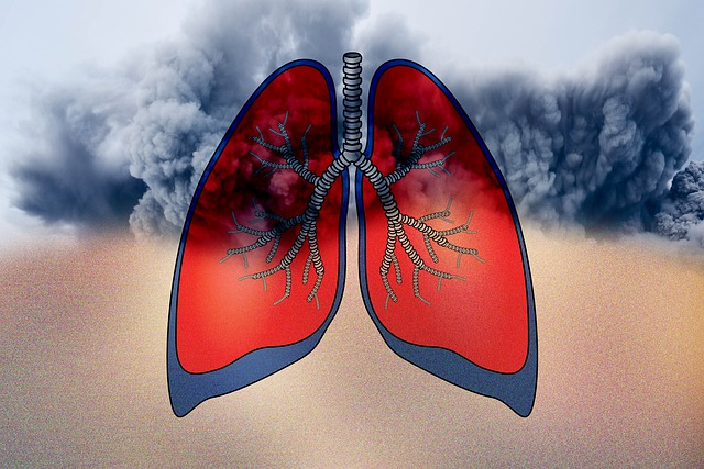Siete cosas que dañan tus pulmones - APEPOC - Asociación de Pacientes con EPOC